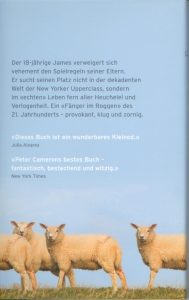 Rueckcover Peter Cameron - Du wirst schon sehen wozu es gut ist