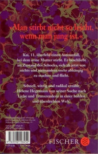 Rückcover Helene Hegemann - Jage zwei Tiger