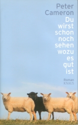 Frontcover Peter Cameron - Du wirst schon sehen wozu es gut ist